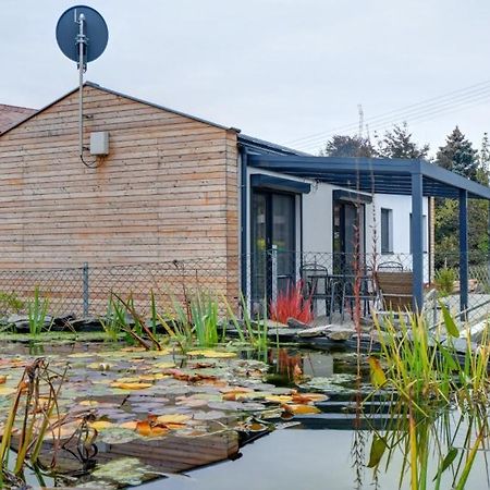 Vila Domecek Valerie Velké Losiny Exteriér fotografie